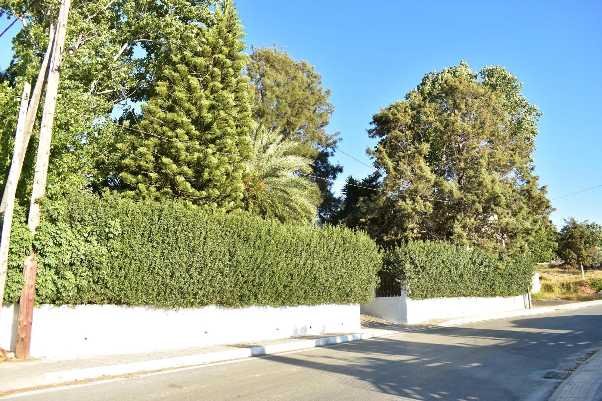 Villa Νιrαsτεrο - The House In The Trees Kalloni  Exterior foto